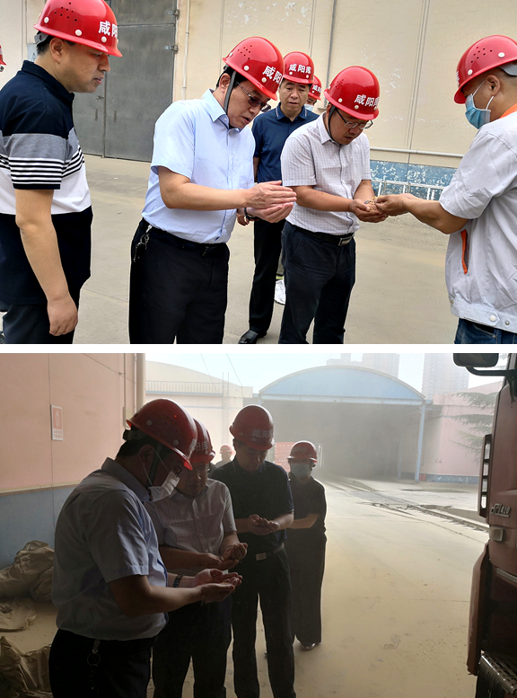 集團副總經(jīng)理潘智炎深入陜儲糧集團調(diào)研指導(dǎo)夏糧收購工作
