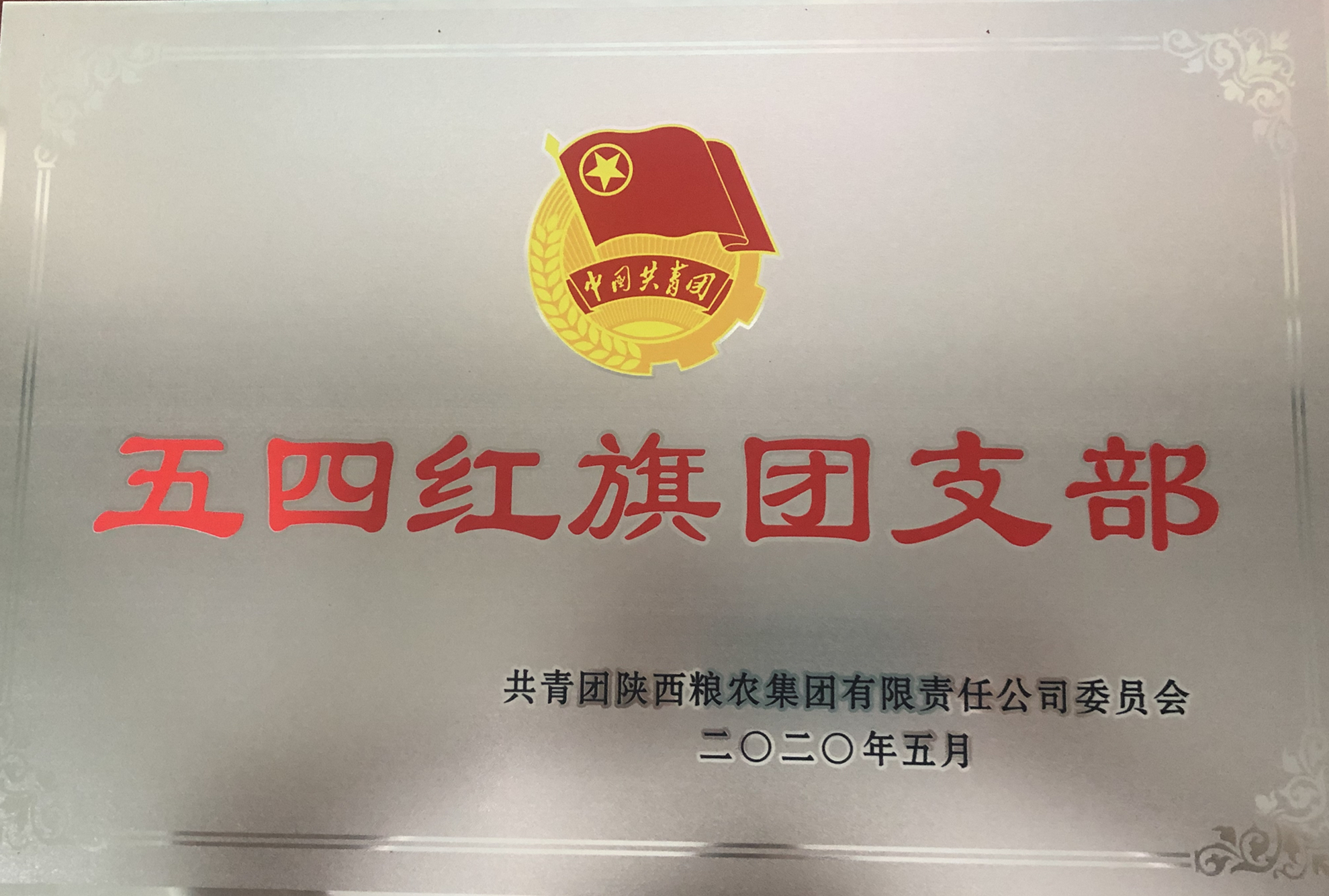 喜報(bào)！五四青年節(jié)，油脂集團(tuán)多位青年喜獲陜西糧農(nóng)集團(tuán)榮譽(yù)！