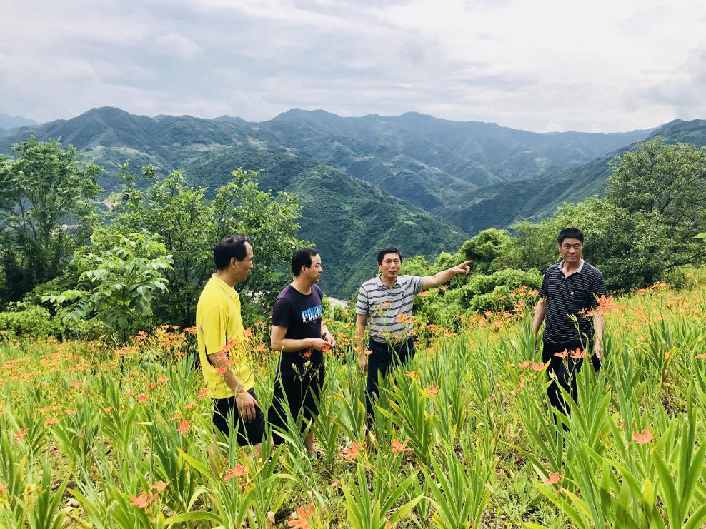 油脂集團領(lǐng)導到幫扶村調(diào)研