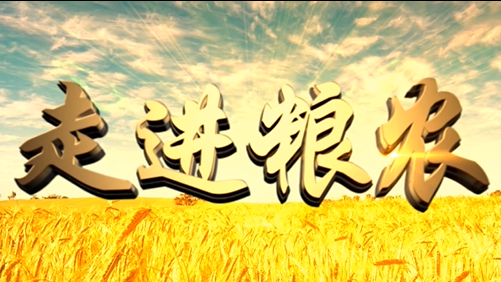 4分鐘，閱讀奮斗崛起中的糧農(nóng)集團(tuán)！