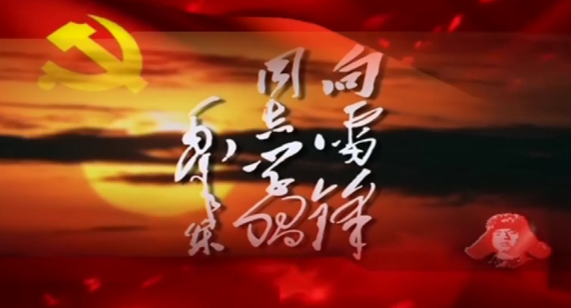   “學(xué)雷鋒，在行動(dòng)”——陜儲(chǔ)糧集團(tuán)華州庫(kù)學(xué)雷鋒青年說(shuō)