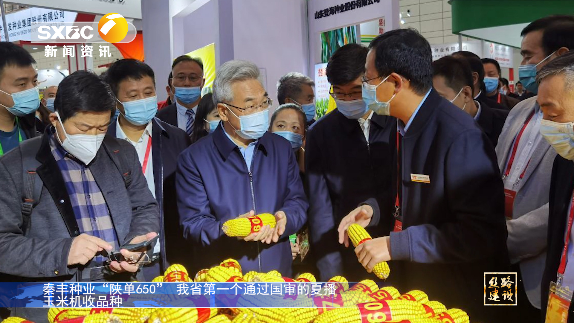 陜西電視臺《絲路建設》：秦豐種業(yè)“陜單650”我省第一個通過國審的夏播玉米機收品種