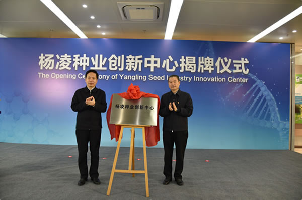 趙一德省長(zhǎng)、魏增軍副省長(zhǎng)赴楊凌調(diào)研種業(yè)發(fā)展