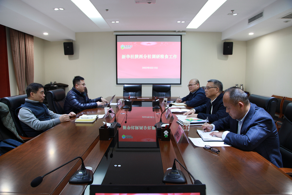 新華社陜西分社總策劃劉書(shū)云一行來(lái)集團(tuán)調(diào)研糧食工作