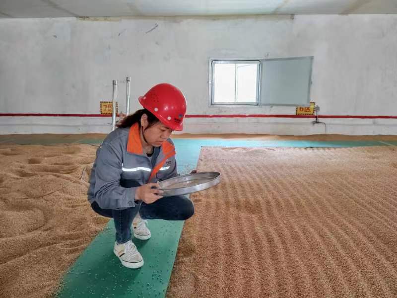 集團(tuán)華州儲(chǔ)備庫公司羅成霞獲評(píng)我省2023年度“巾幗最美糧儲(chǔ)人”